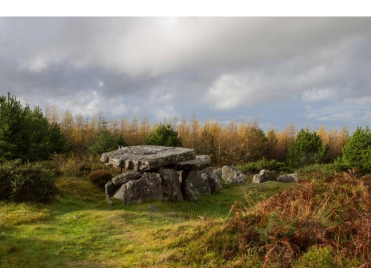 Corderry Farmhouse, Idyllic Cottage Amid 250 Acres Lisvernane Exterior photo